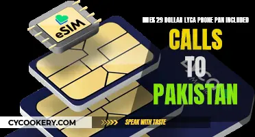 Lyca Mobile's $29 Plan: Does it Include Pakistan Calls?