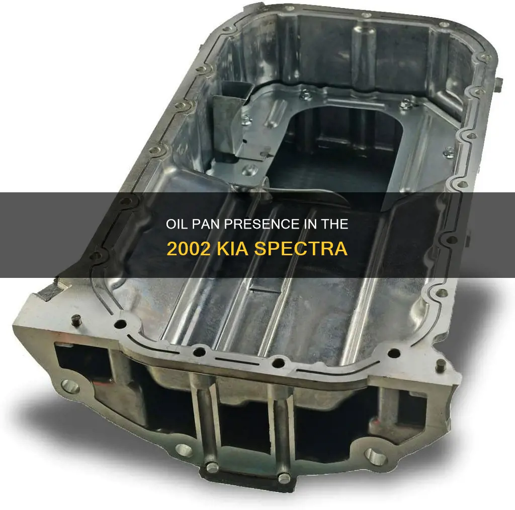 does a 2002 kia specra have a oil pan