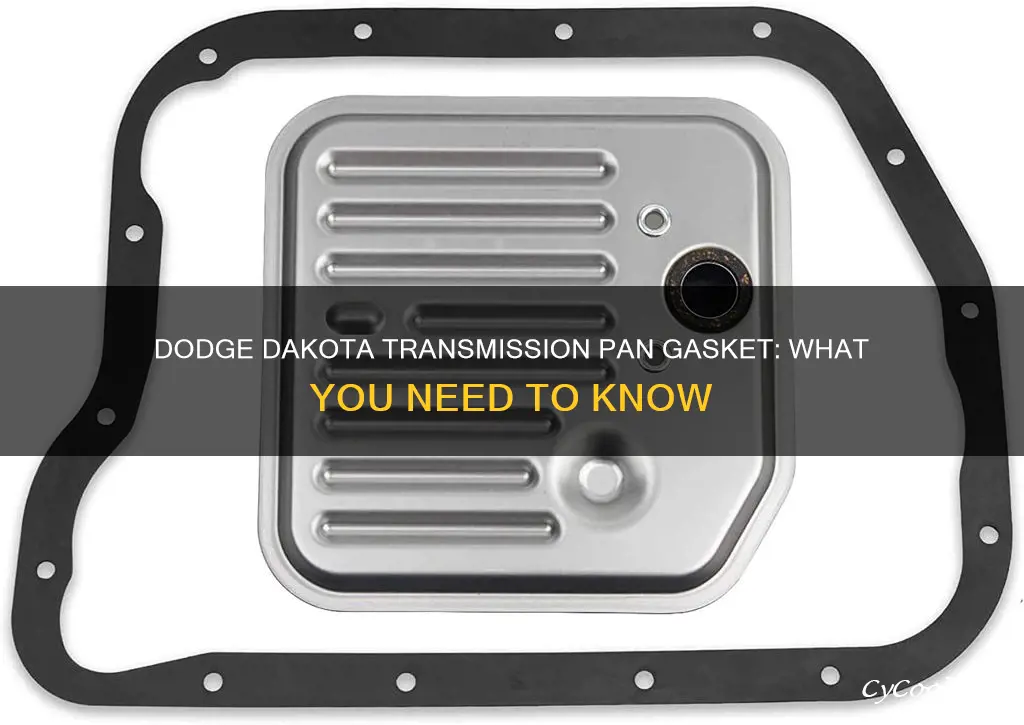 does a 2005 dodge dakota have a transmission pan gasket