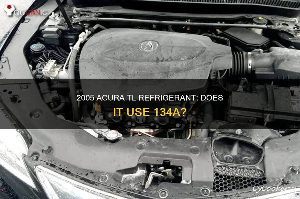 does a 2005 honda acura tl use 134a refrigerant