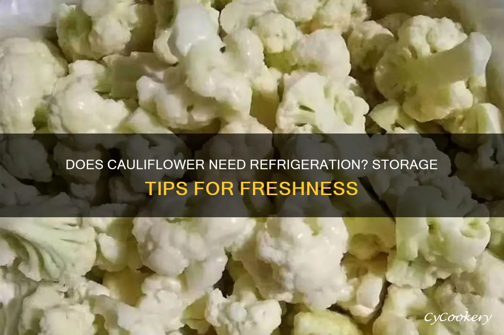 does a calufotis have to be refrigerated