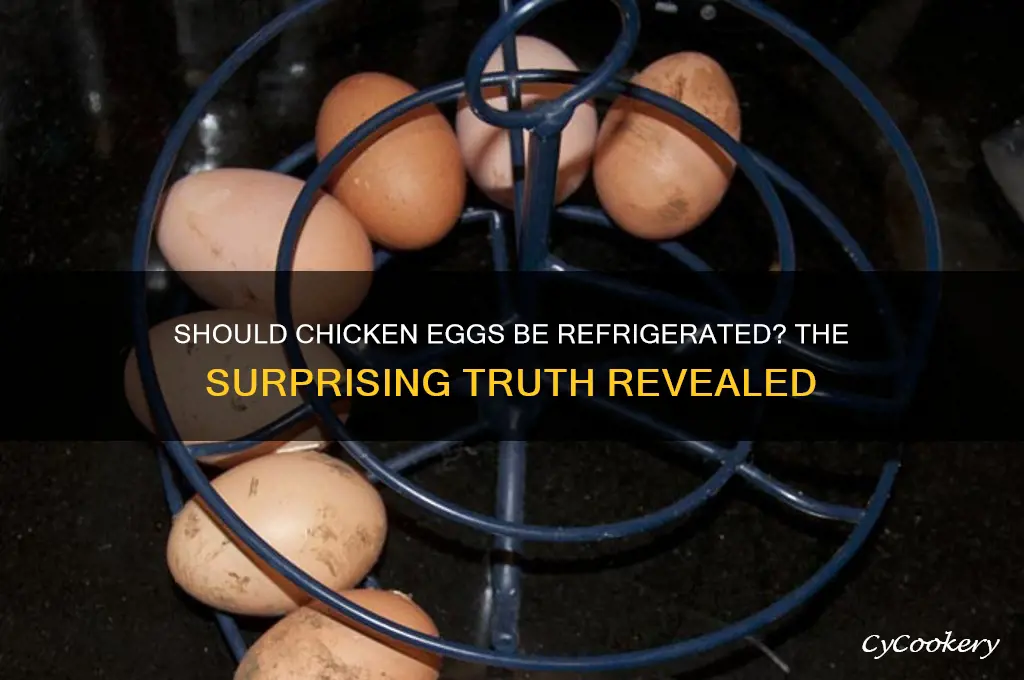does a chicken egg have to be refrigerated