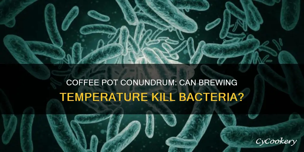 does a coffee pot get hot enough to kill bacteria