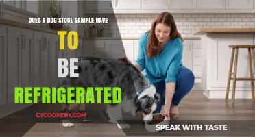 Should You Refrigerate Your Dog's Stool Sample? Expert Tips