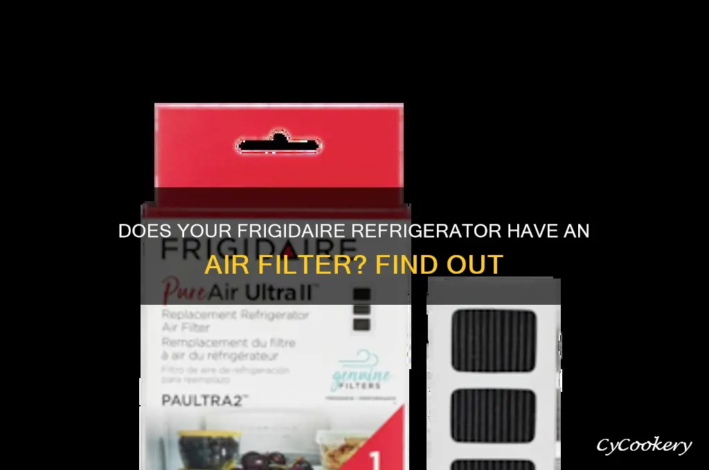 does a fridgedaire refrigerator have a air filter