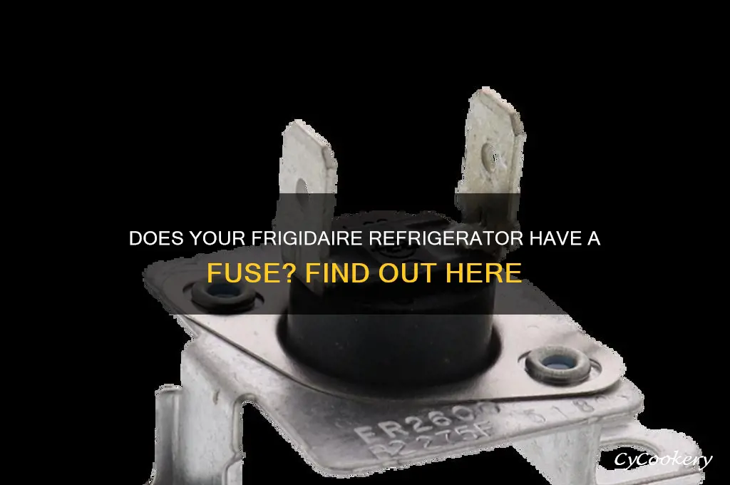does a frigidaire refrigerator have a fuse