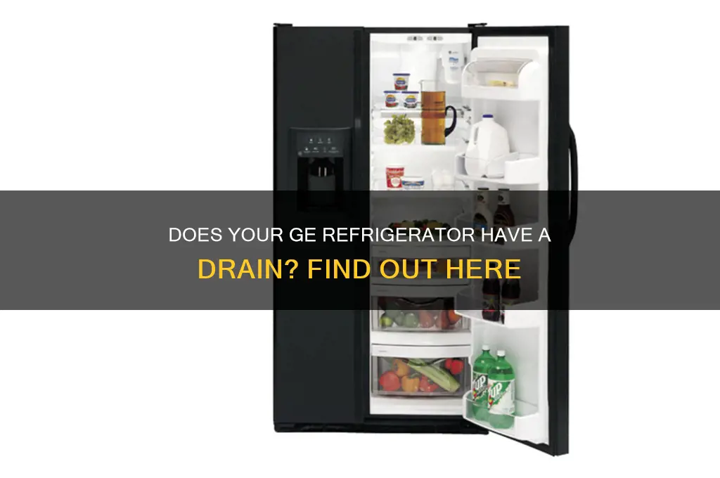 does a ge refrigerator have a drain