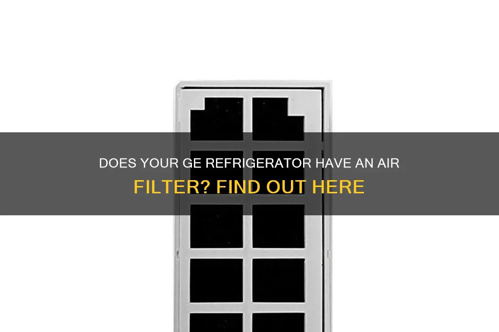 does a ge refrigerator have an air filter