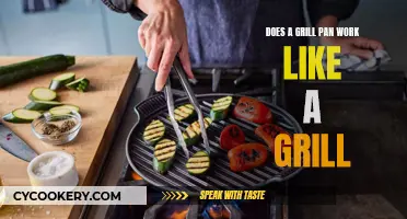 Grill Pans: Grilling Indoors?