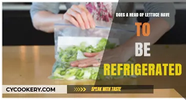 Should You Refrigerate Lettuce? Storage Tips for Freshness and Crunch