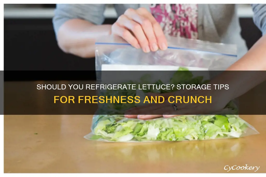does a head of lettuce have to be refrigerated