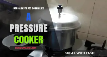 Insta Pot vs Pressure Cooker: What's the Difference?