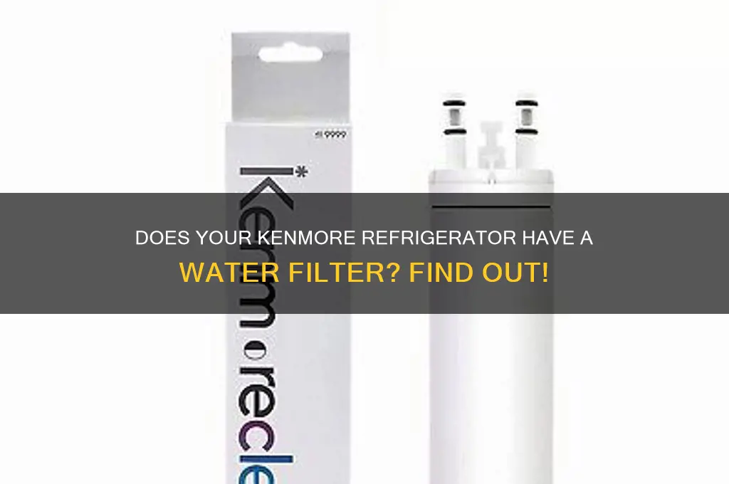 does a kenmore refrigerator have a filter