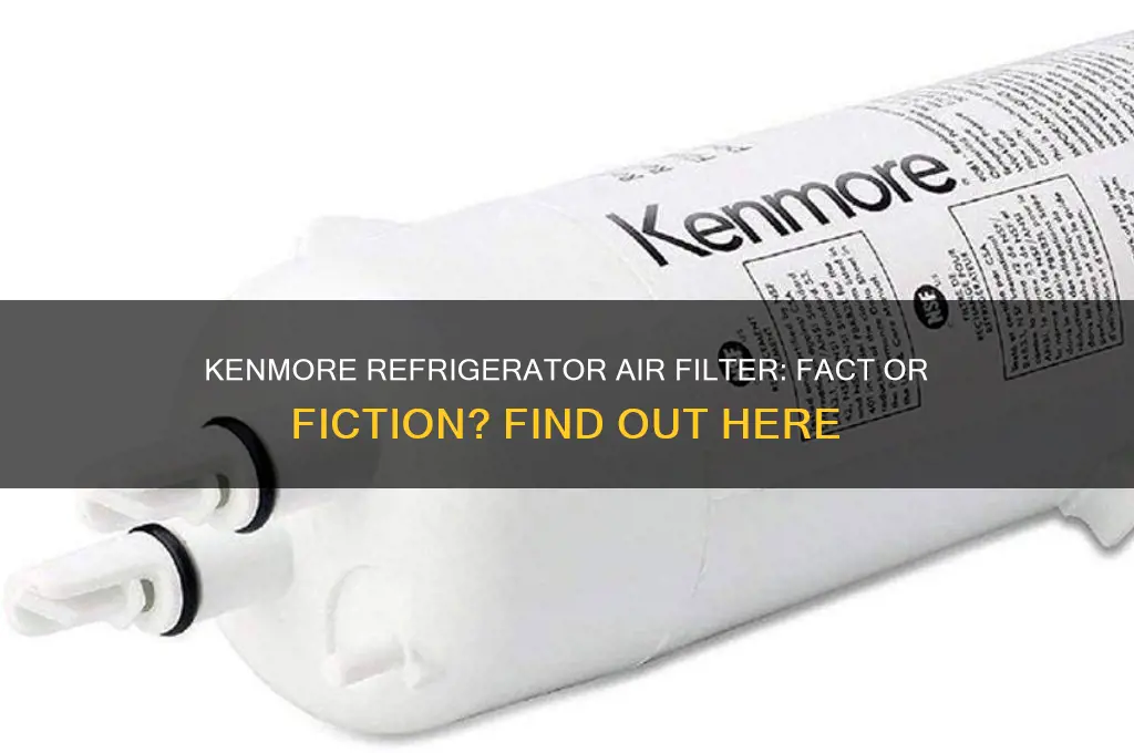 does a kenmore refrigerator have an air filter