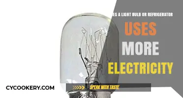 Light Bulb vs. Fridge: Which Appliance Consumes More Electricity?