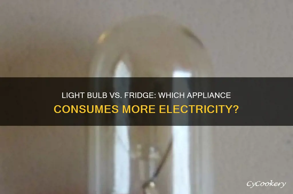 does a light bulb or refrigerator uses more electricity