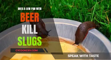 Beer Trap: An Effective Way to Kill Slugs?