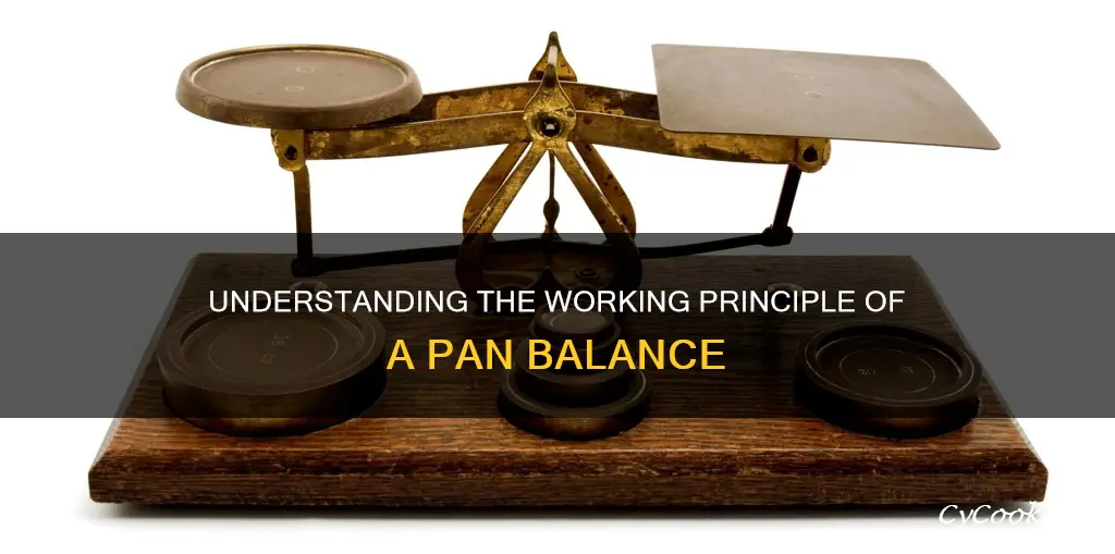 does a pan balance measure mass