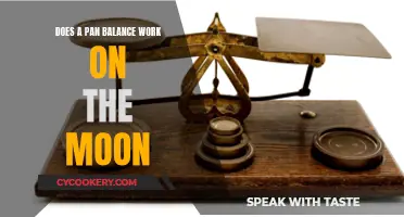 Can Pans Balance on the Moon?