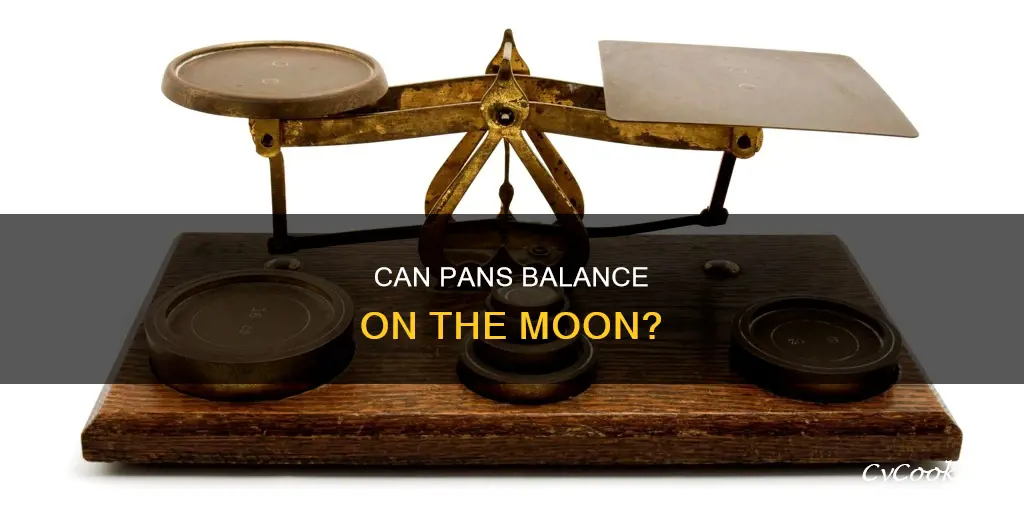 does a pan balance work on the moon