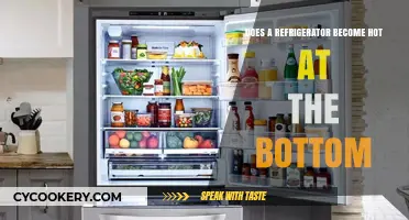 Why Refrigerator Bottoms Get Hot: Understanding Heat Exchange in Fridges