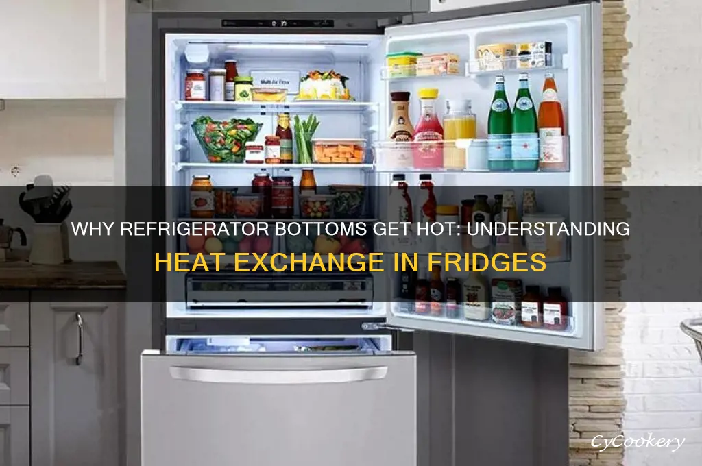 does a refrigerator become hot at the bottom