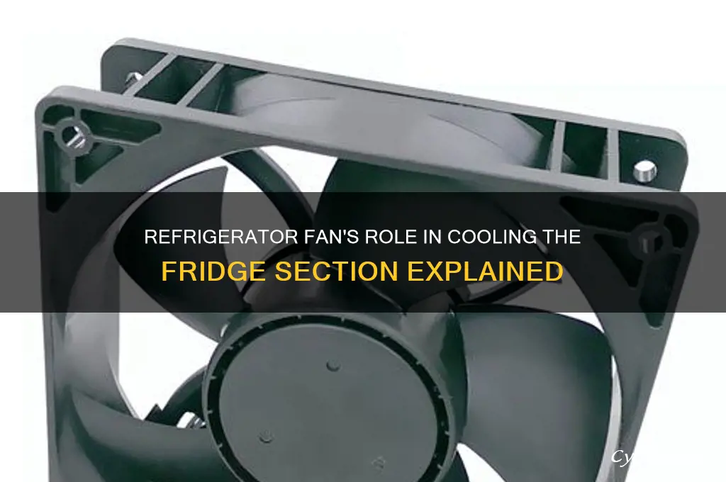 does a refrigerator fan help keepvthe refrigerator section cold