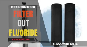 Refrigerator Filters and Fluoride: What They Remove and What They Don't