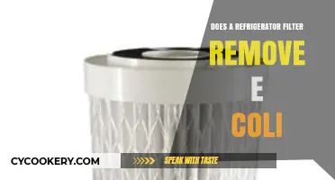 Can Your Fridge Filter Eliminate E. Coli? The Truth Revealed