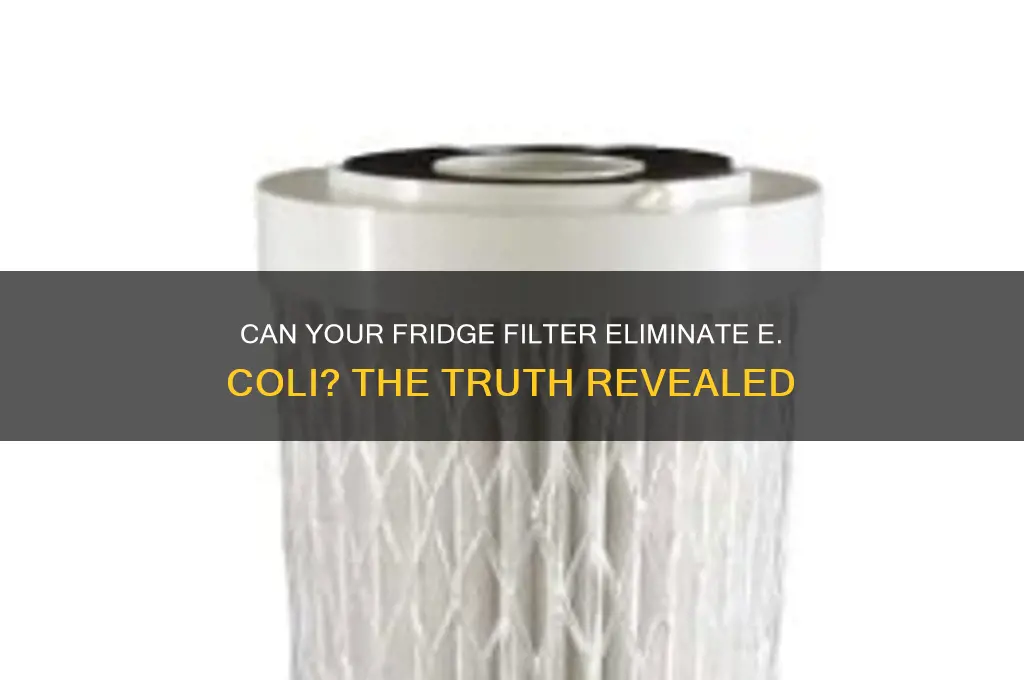 does a refrigerator filter remove e coli