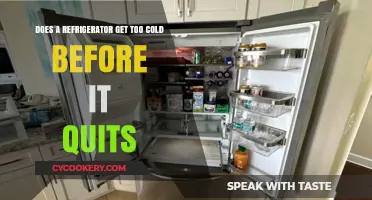 Can a Refrigerator Freeze Over Before It Stops Working?
