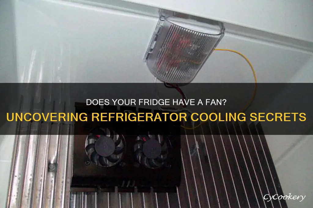 does a refrigerator have a fan in it