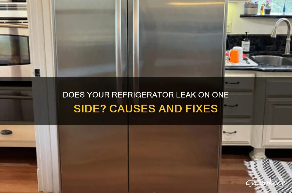 does a refrigerator leak one one side