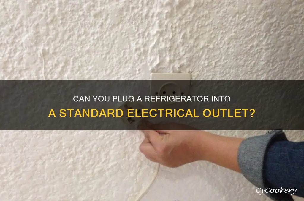 does a refrigerator plug into a regular outlet