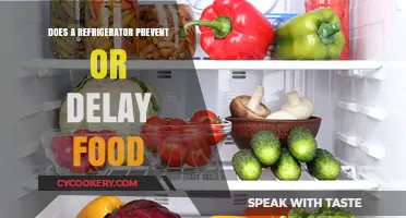 Refrigerators: Preserving Food Freshness or Just Delaying Spoilage?