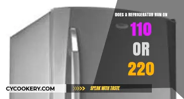 Refrigerator Voltage Guide: 110 or 220 for Optimal Performance?