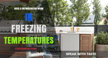 Can Refrigerators Function Efficiently in Freezing Outdoor Conditions?