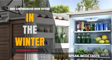 Can Refrigerators Function Efficiently in Cold Winter Outdoor Conditions?