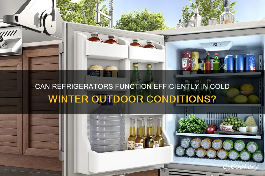 does a refrigerator work outside in the winter