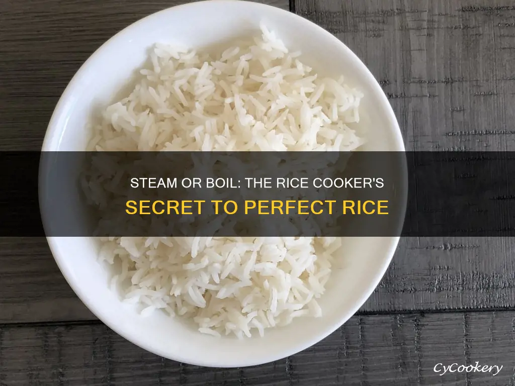 does a rice cooker steam or boil rice