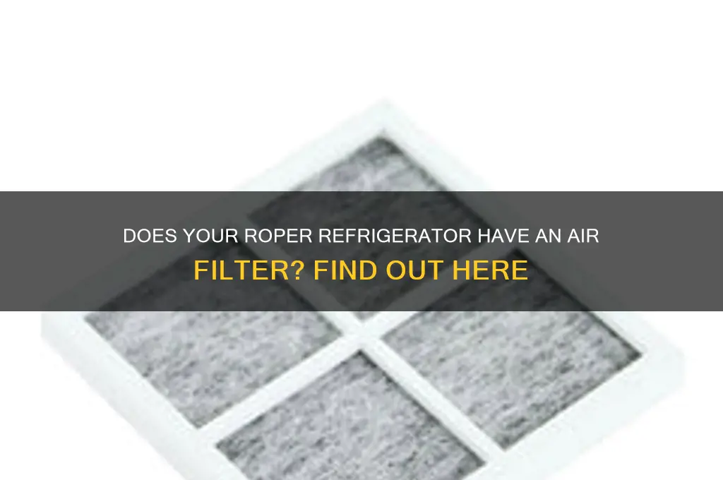 does a roper refrigerator have an air filter