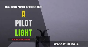 Does Your Royale Propane Fridge Have a Pilot Light?