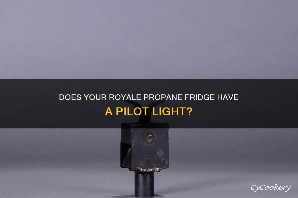 does a royale propane refrigerator have a pilot light