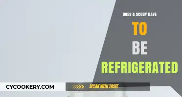 Does a SCOBY Need Refrigeration? Essential Kombucha Brewing Tips