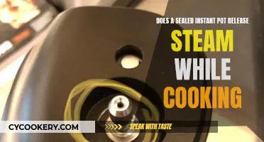 Instant Pot Steam Release: What You Need to Know