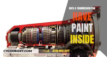 Transmission Pan: Painted Interior or Not?