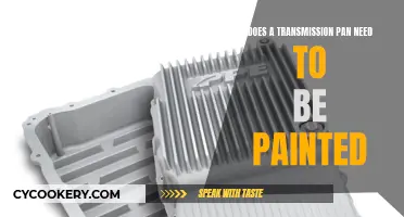 Transmission Pan: Paint or No Paint?