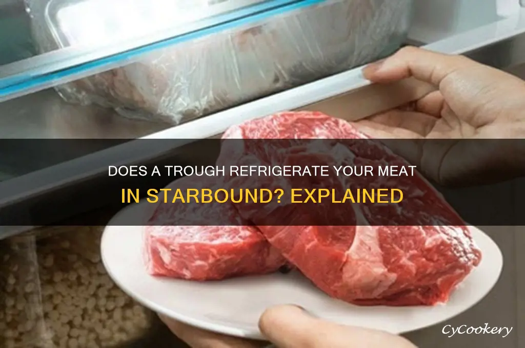 does a trough refrigerate your meart starbound