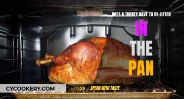 How to Roast a Turkey: Pan or No Pan?