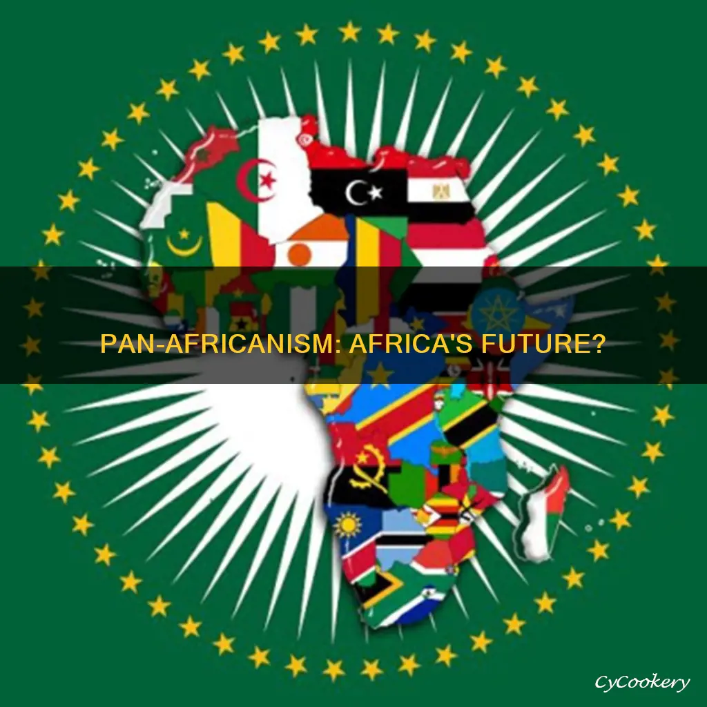 does african need pan african